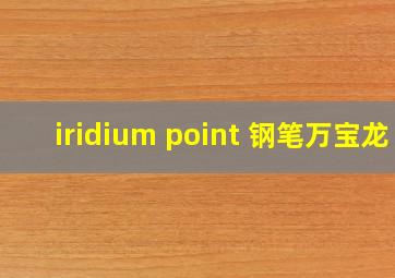 iridium point 钢笔万宝龙